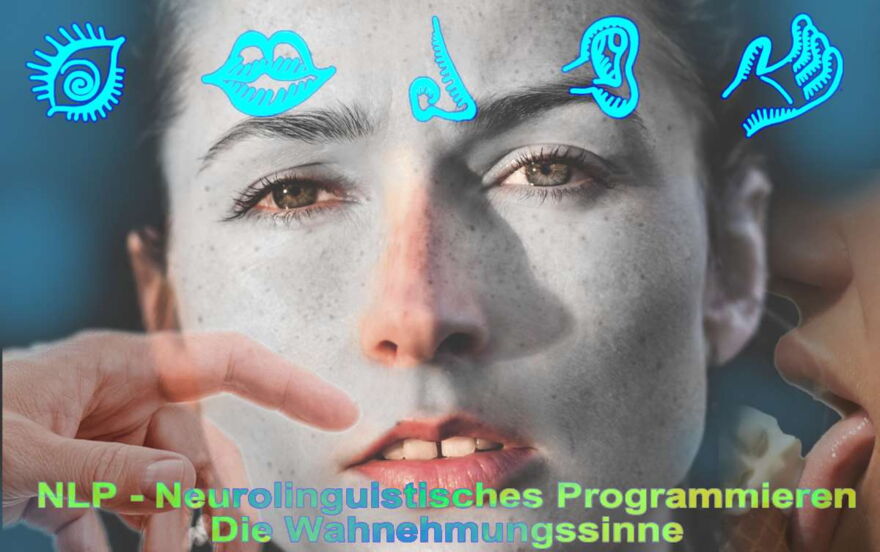 Systemische Aufstellungen und Coaching mit - NLP - Neurolinguistisches Programmieren - owi Praxis für Laserohrakupunktur & Coaching - www.laser-ohr-akupunktur.ch
